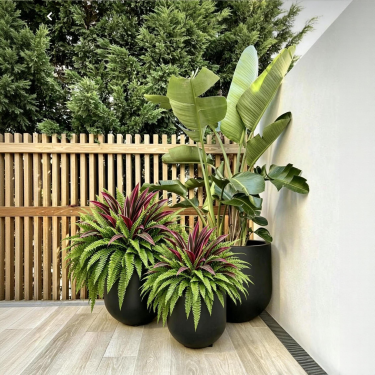 🔥Last Day 70% OFF🔥 UV-Resistant Artificial Fern & Red Dracaena Decorative Plants – Full, Lush & Fade-Resistant!