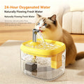 Quiet Cat Water Fountain With Filter (Automatic Circulation)