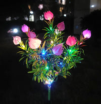 pink colored light