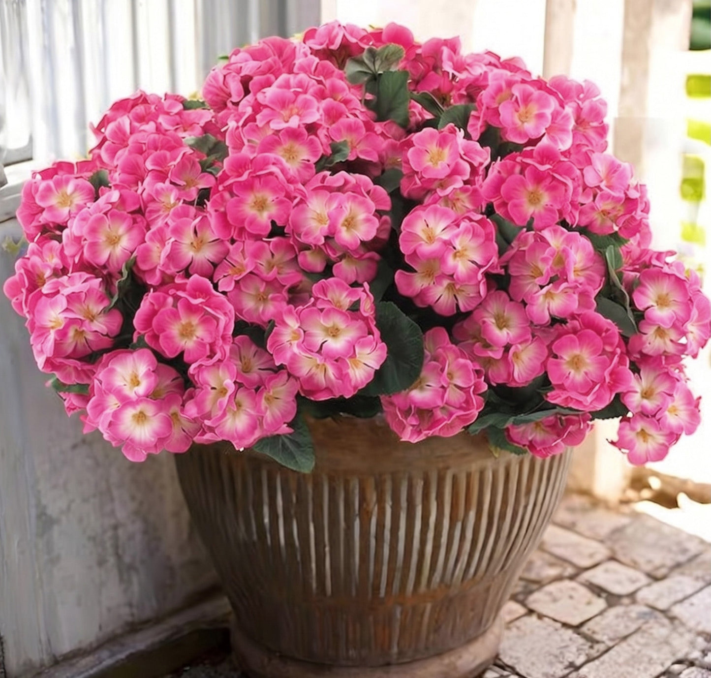 🌸 LAST DAY 50%OFF 🌸 Bundles Artificial Geranium Flowers