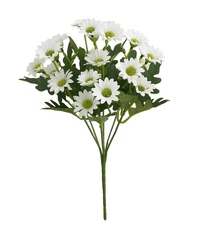 5 Bundle of Ivory