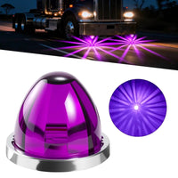 Purple Light