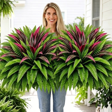 🔥Last Day 70% OFF🔥 UV-Resistant Artificial Fern & Red Dracaena Decorative Plants – Full, Lush & Fade-Resistant!