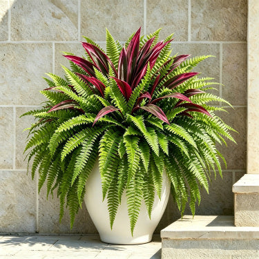 🔥Last Day 70% OFF🔥 UV-Resistant Artificial Fern & Red Dracaena Decorative Plants – Full, Lush & Fade-Resistant!