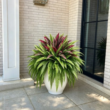 🔥Last Day 70% OFF🔥 UV-Resistant Artificial Fern & Red Dracaena Decorative Plants – Full, Lush & Fade-Resistant!