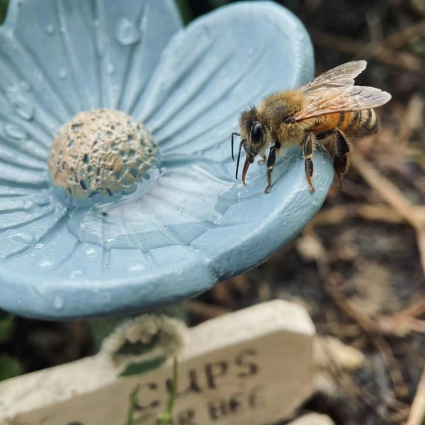 ⏳Limited-time 81% off🐝Flower-Shaped Bee Watering Station💧