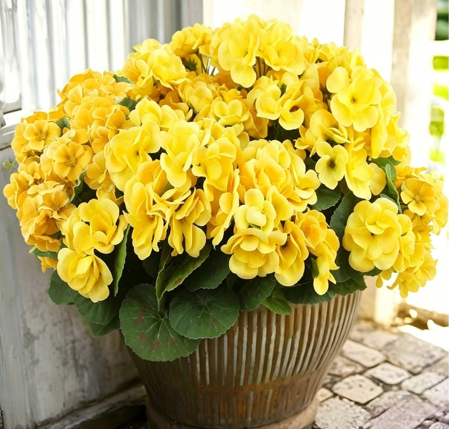 🌸 LAST DAY 50%OFF 🌸 Bundles Artificial Geranium Flowers