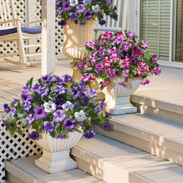 🔥Last Day 70% OFF🔥Faux Petunias Silk Flower UV Resistant No Fade Floral