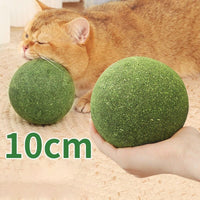 10cm