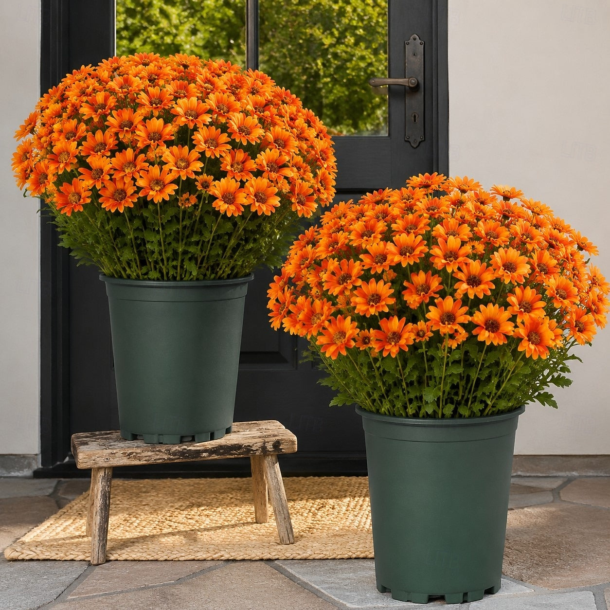 Artificial Outdoor Sunset Mums Flowers - UV resistant