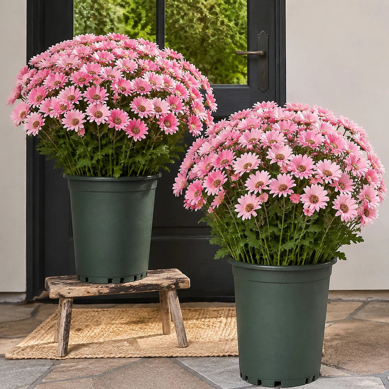 Artificial Outdoor Sunset Mums Flowers - UV resistant