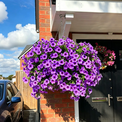 Last Day 60% OFF UV Resistant Artificial Petunias Flowers